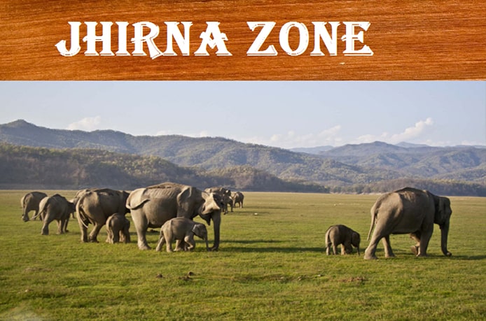 zirna-safari-corbett zirna-safari-corbett
